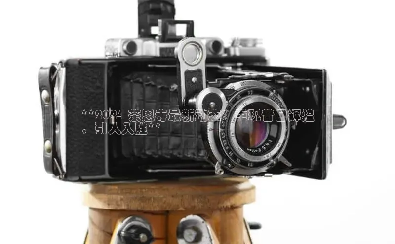 悟空体育app官网下载安卓版雷柏科技**2024 茶恩寺最新动态：重现昔日辉煌
，引人入胜**