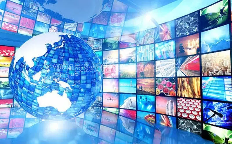 悟空体育普信公司**2024 武汉暑假时政要闻：重大举措
与影响**