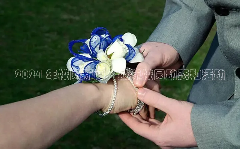 悟空体育入口慧博云通2024 年校园新闻：最新校园动态和活动