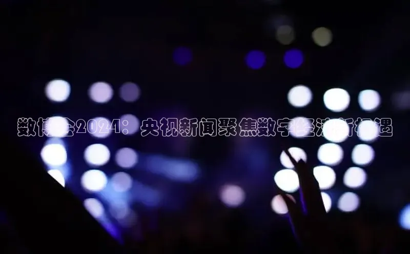 悟空体育百度手机助手数博会2024：央视新闻聚焦数字经济新机遇