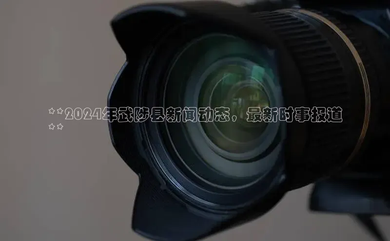 悟空体育官网网页版登录百度翻译**2024年武陟县新闻动态，最新时事报道
**