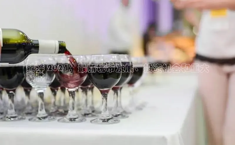 悟空体育网页登陆入口京东黄骅 2024：最新城市发展、投资机会和重大
事件