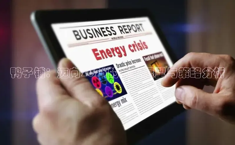 鸭子铺：迈向2025的未来展望与策略分析