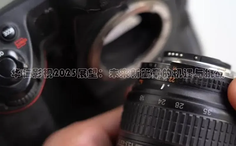 悟空体育app官网登录