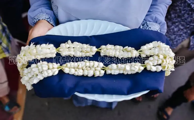 悟空体育app官网下载安卓版