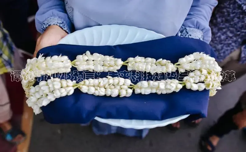 谭悦晴2025预言：未来科技趋势与社会变革