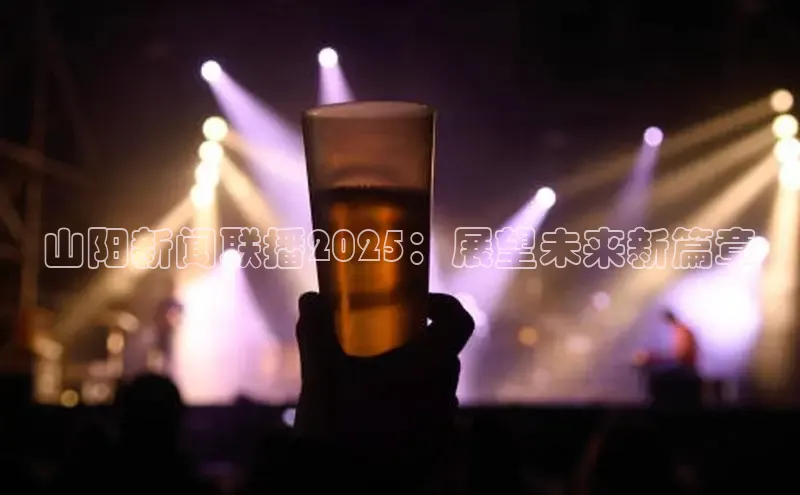山阳新闻联播2025：展望未来新篇章