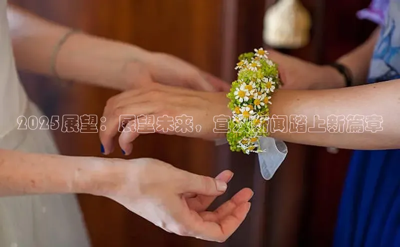 2025展望：展望未来，宣汉新闻踏上新篇章