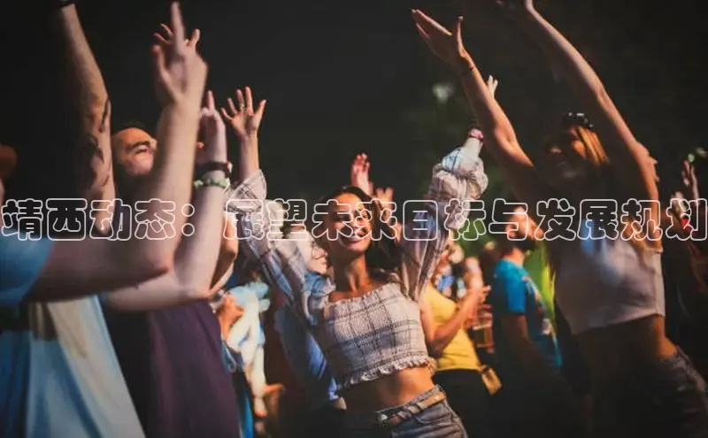 靖西动态：展望未来目标与发展规划