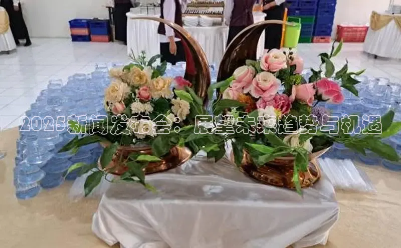 2025新闻发布会：展望未来趋势与机遇