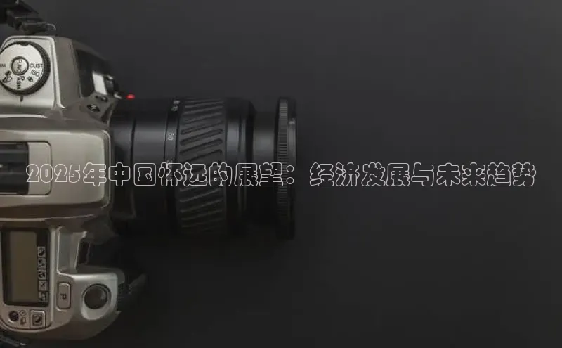 2025年中国怀远的展望：经济发展与未来趋势