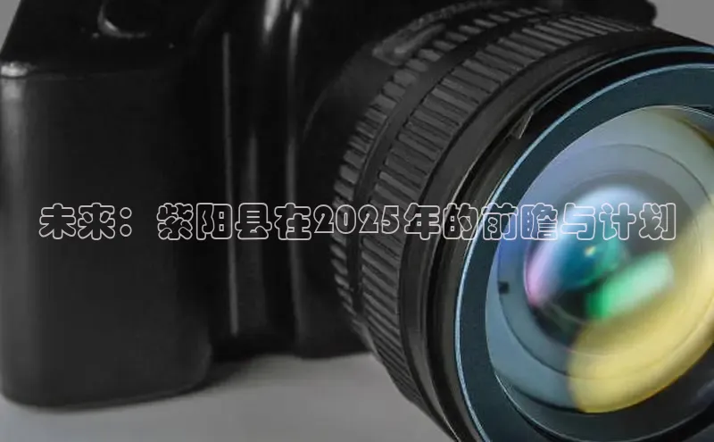 未来：紫阳县在2025年的前瞻与计划