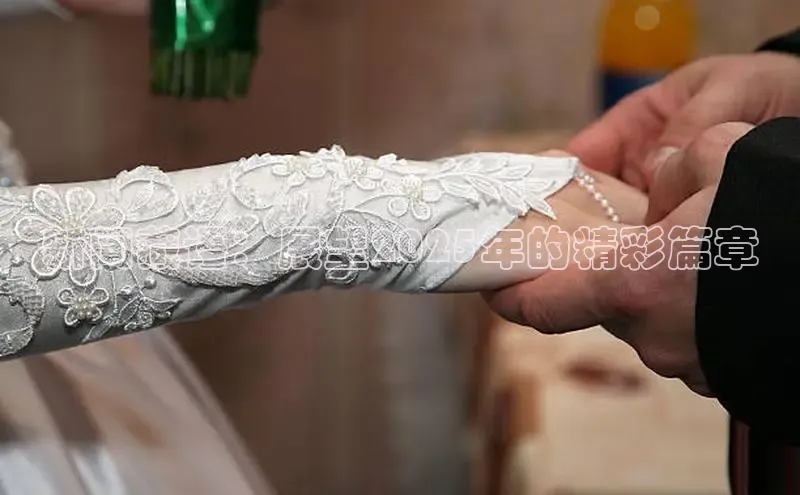 新闻藏语：展望2025年的精彩篇章